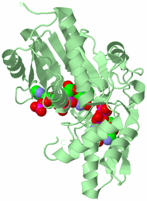 Image Biological Unit 2