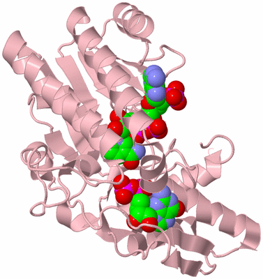 Image Biological Unit 3