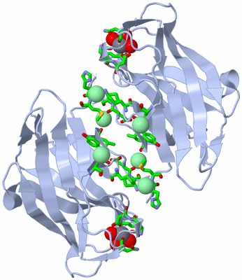 Image Biol. Unit 1 - sites