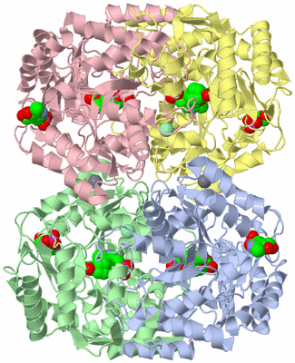 Image Asym./Biol. Unit