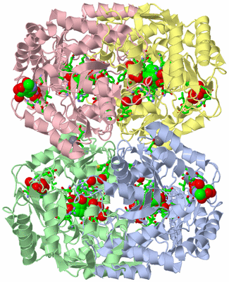 Image Asym./Biol. Unit - sites