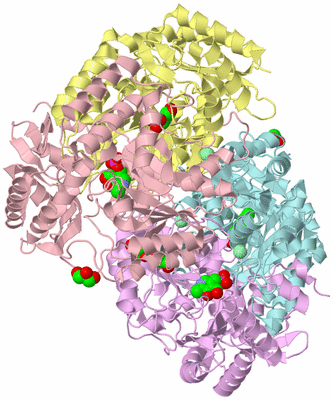 Image Biological Unit 1