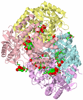 Image Biol. Unit 1 - sites