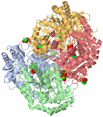 Image Biological Unit 2