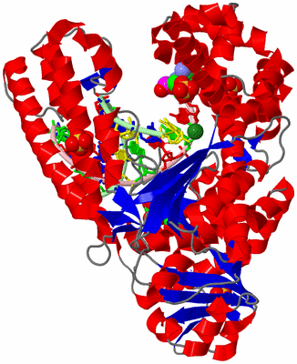 Image Asym./Biol. Unit