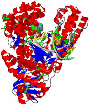 Image Asym./Biol. Unit - sites