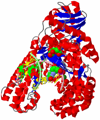 Image Asym./Biol. Unit