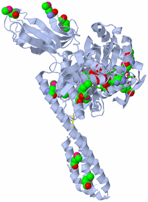 Image Biol. Unit 1 - sites