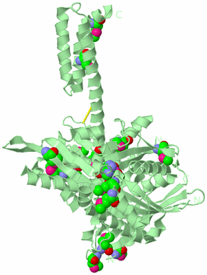 Image Biological Unit 2