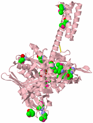 Image Biological Unit 3