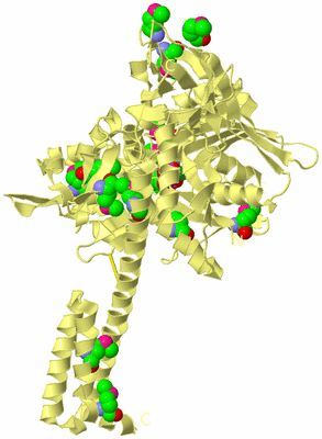 Image Biological Unit 4