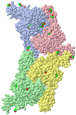 Image Asym. Unit - sites