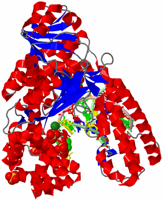 Image Asym./Biol. Unit