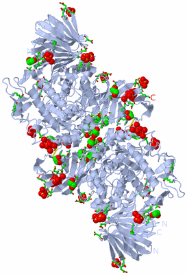 Image Biol. Unit 1 - sites