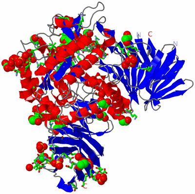 Image Asym./Biol. Unit - sites