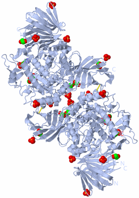 Image Biological Unit 1