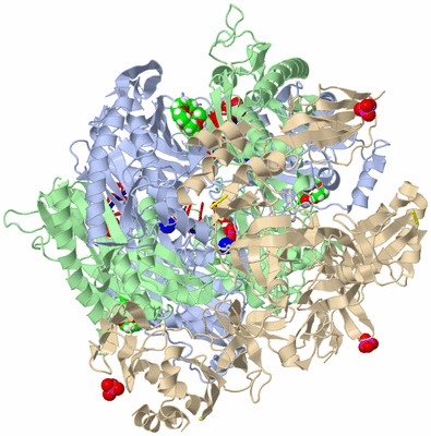 Image Biological Unit 1