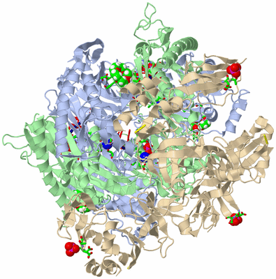 Image Biol. Unit 1 - sites