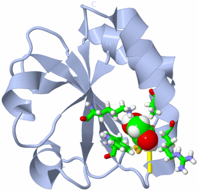 Image Biol. Unit 1 - sites