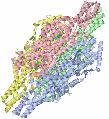 Image Asym./Biol. Unit