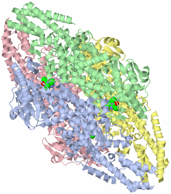 Image Asym./Biol. Unit