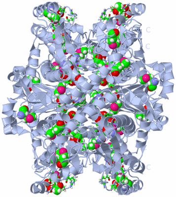 Image Biol. Unit 1 - sites