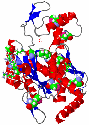 Image Asym. Unit - sites