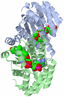 Image Biological Unit 1