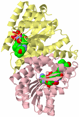 Image Biological Unit 2