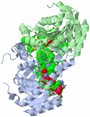 Image Asym./Biol. Unit - sites