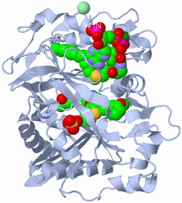 Image Biological Unit 1