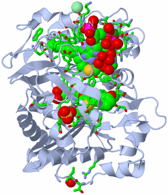 Image Biol. Unit 1 - sites