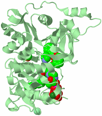 Image Biological Unit 2