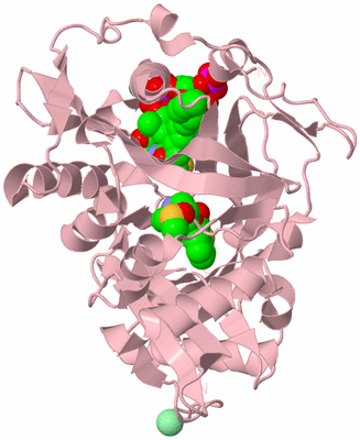 Image Biological Unit 3