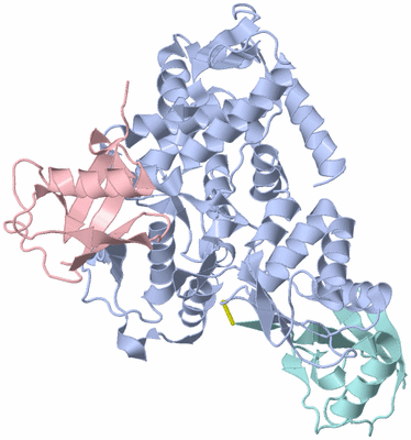 Image Asym./Biol. Unit