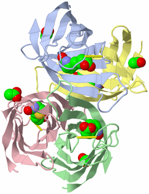 Image Asym./Biol. Unit