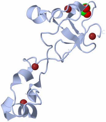 Image Biological Unit 1