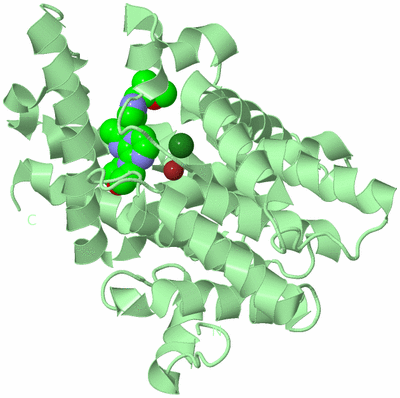 Image Biological Unit 2