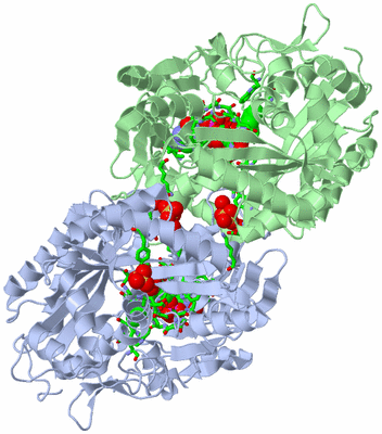 Image Biol. Unit 1 - sites