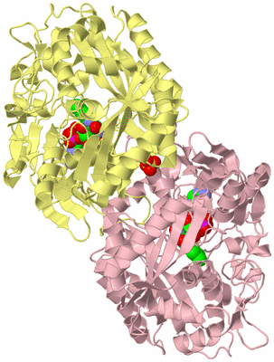 Image Biological Unit 2