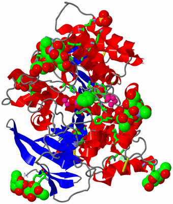 Image Asym./Biol. Unit - sites