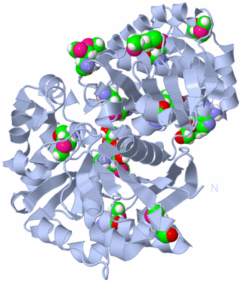 Image Biological Unit 1