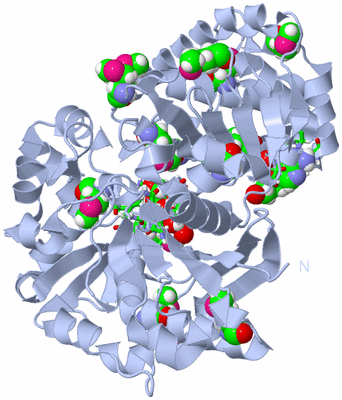 Image Biol. Unit 1 - sites