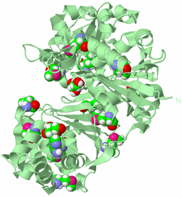 Image Biological Unit 2