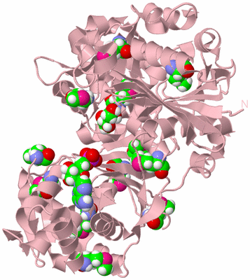 Image Biological Unit 3