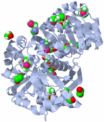 Image Biological Unit 1