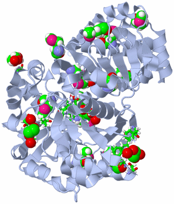 Image Biol. Unit 1 - sites