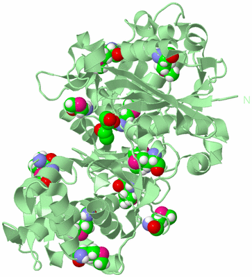 Image Biological Unit 2