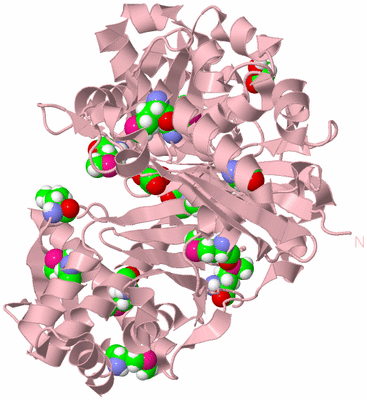 Image Biological Unit 3