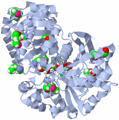 Image Biological Unit 1